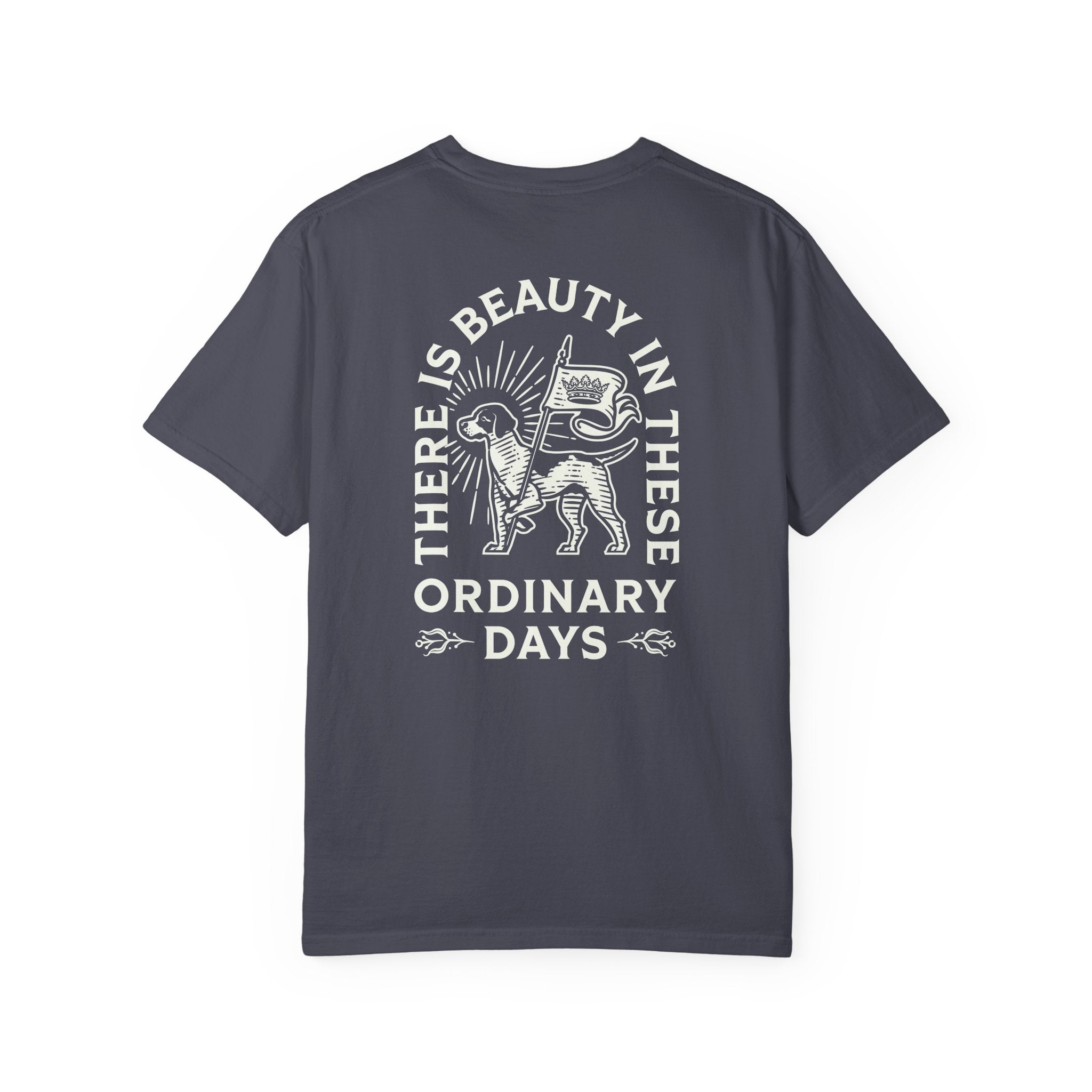 Beauty in the Ordinary Shirt