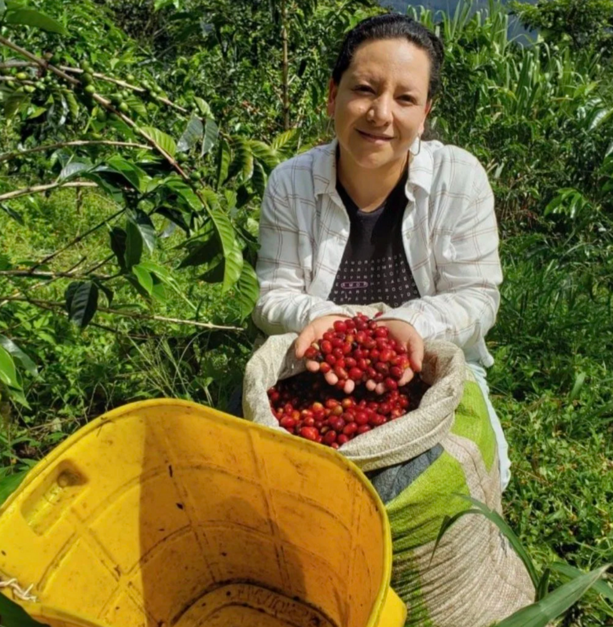Juliana Guevara &amp; <em>Wbeimar Lasso</em>